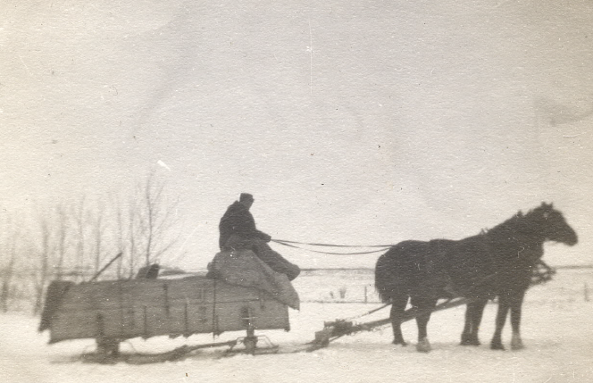 A man is sitting on top of a wooden sleigh as it is pulled by two large horses. The ground is covered in snow.