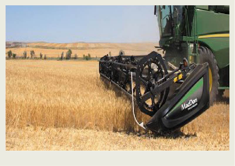 A side-view is shown of a combine with a straight cut header that is cutting a golden coloured wheat crop.