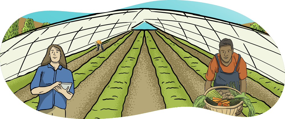 An illustrated greenhouse is shown with farmers working on rows of vegetables. A man holds a basket full of vegetables, while another man is bent over to pick vegetables from the rows.