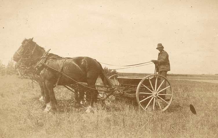 A farmer is riding on drills being pulled by two horses.