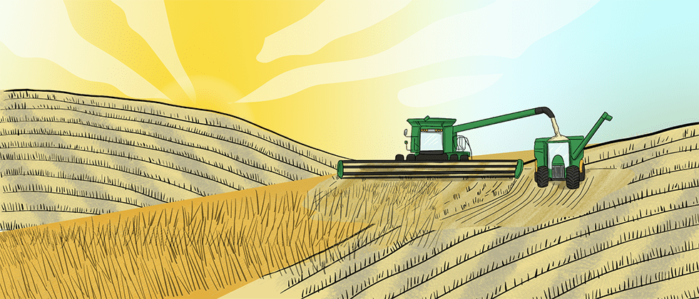 An illustrated combine harvests a crop and dumps it into a grain cart being pulled by a tractor.