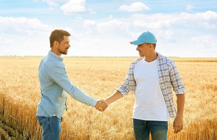 Two men are in a golden-coloured field shaking hands.