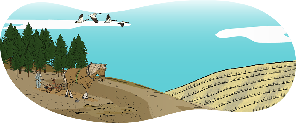 An illustrated farmer holds onto a plow that is being pulled by horses in a farm field.