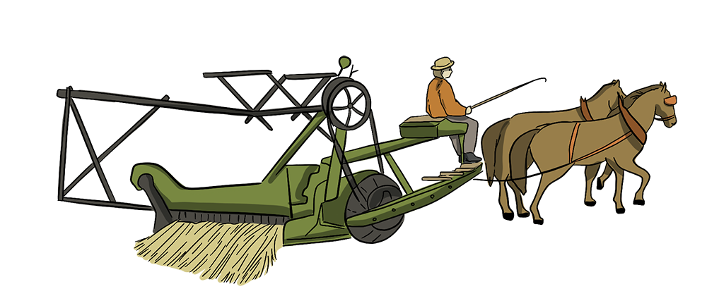 An illustrated early swather is being used to cut down wheat while a farmer operates it. The swather is being pulled by two horses.