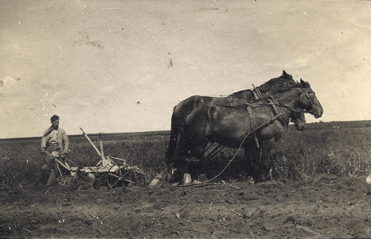 A man holds onto a plow as it is being pulled over a farm field by two horses.