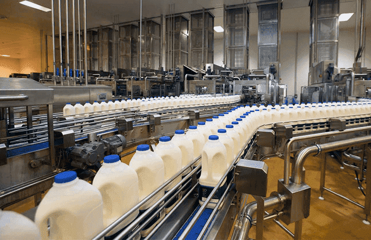 A factory has milk jugs lined up on a processing line.