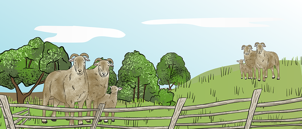 A herd of illustrated goats are standing in a green pasture that has a wooden fence going around the edge of it.