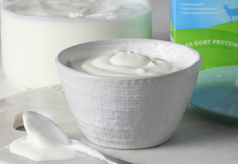 A bowl full of yogurt sits on a countertop with a goat milk carton in the background.