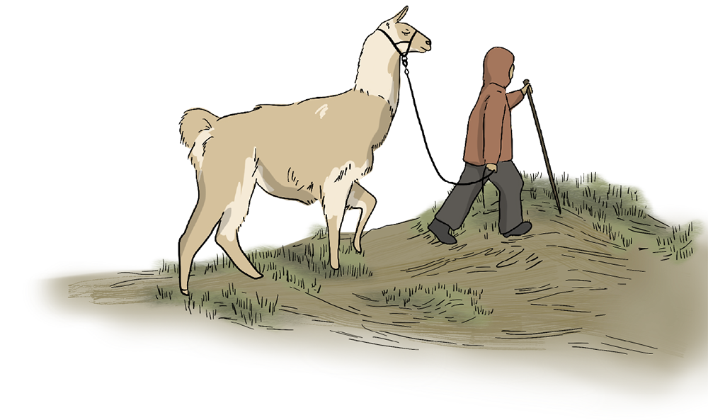 An illustrated llama with a pack on its back is being led through the mountains by a person walking ahead.