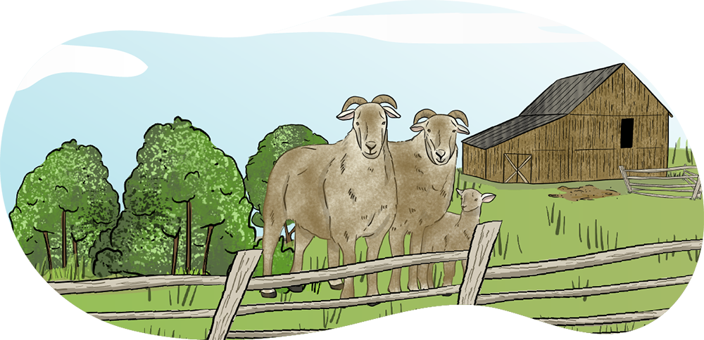 A herd of illustrated goats stand in a green pasture that has a wooden fence around the edge of it.