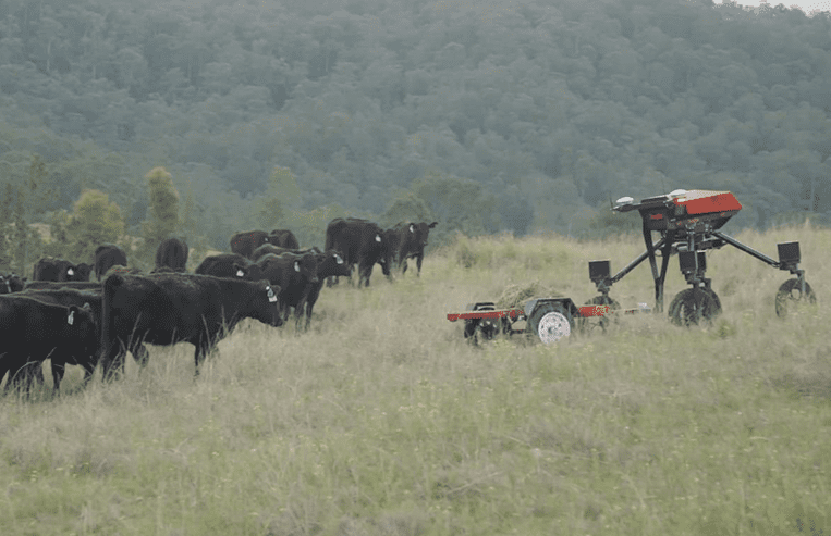 A robot is parked next to a herd of cattle in a pasture.