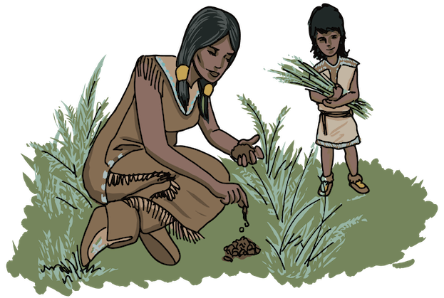 indigenous-peoples-explore-saskatchewan-agriculture