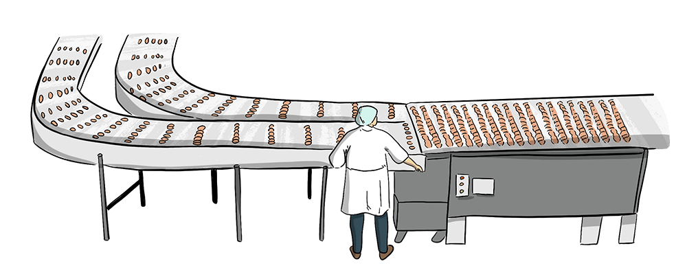 An illustrated person stands in a processing facility next to a line of baked products. 