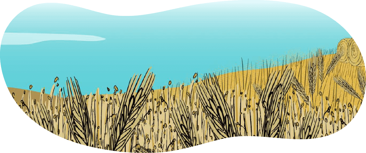 An illustrated golden coloured wheat crop. 