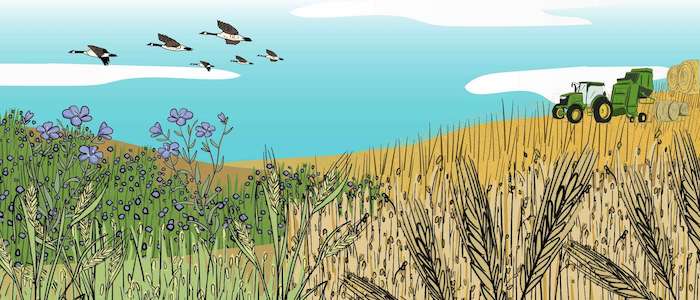 Present - Field crops - general banner copy