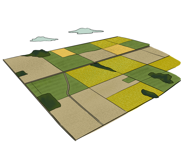 An aerial view of strip farming is shown. Each field is a different colour of green, brown, or yellow, indicating that different crops are growing on each field.