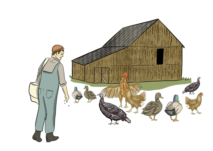 Premium Photo  Chicken farmer poultry farming and man with animals smile  and happiness while working in the countryside for sustainability portrait  of farm worker with animal for egg meat and protein