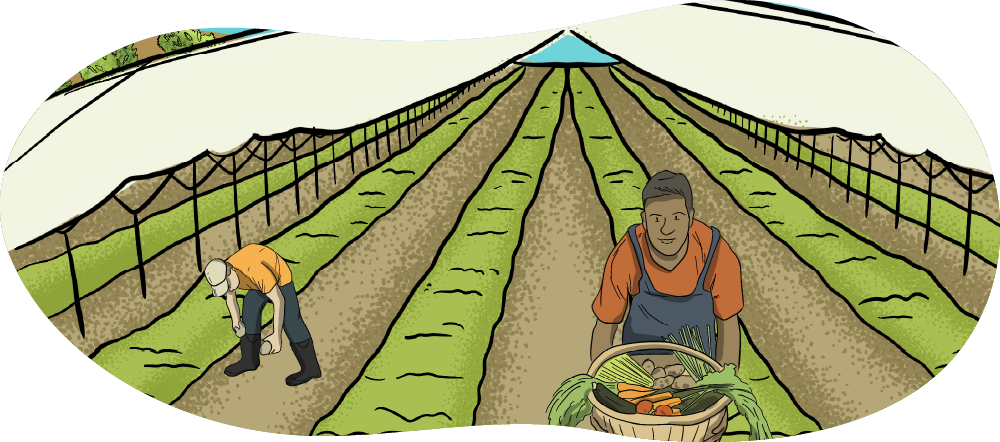 An illustrated organic farm is shown, with a big section of the gardens under a big white tent. There’s an employee working in the garden and a farmer holding a basket of vegetables including carrots, potatoes, cucumbers, tomatoes, and onions. 