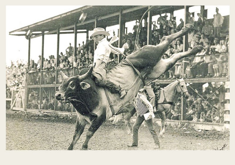 Rodeo Explore Saskatchewan Agriculture