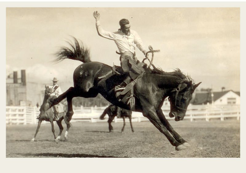 Rodeo Explore Saskatchewan Agriculture