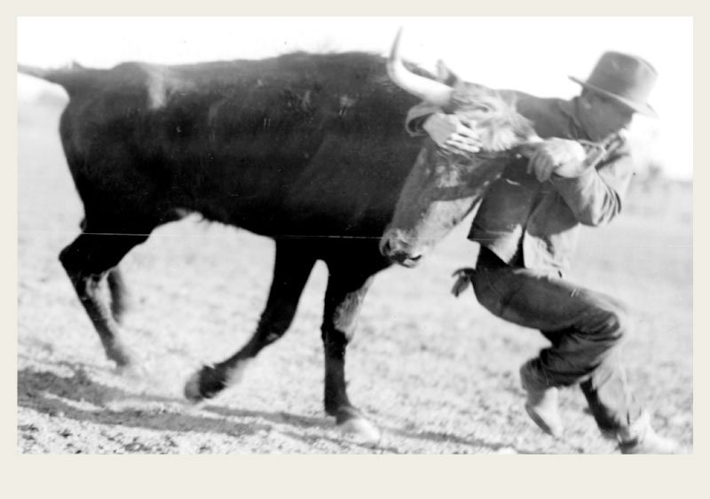 Rodeo Explore Saskatchewan Agriculture