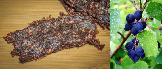 A piece of art by Leah Marie Dorion made with mosaics shows two Indigenous women facing each other with their hair blowing out behind them. There is a sun with butterflies in the centre, and snakes underneath the ground.