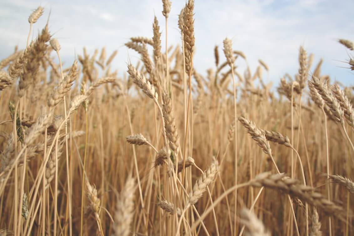 A piece of art by Leah Marie Dorion made with mosaics shows two Indigenous people standing near animals, sun, and water. 