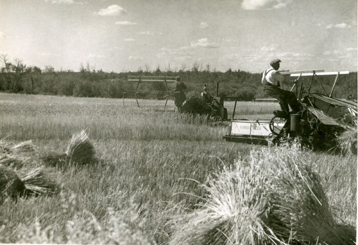 A piece of art by Leah Marie Dorion made with mosaics shows two Indigenous people standing near animals, sun, and water. 