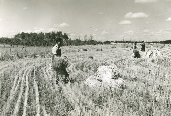 A piece of art by Leah Marie Dorion made with mosaics shows two Indigenous people standing near animals, sun, and water. 